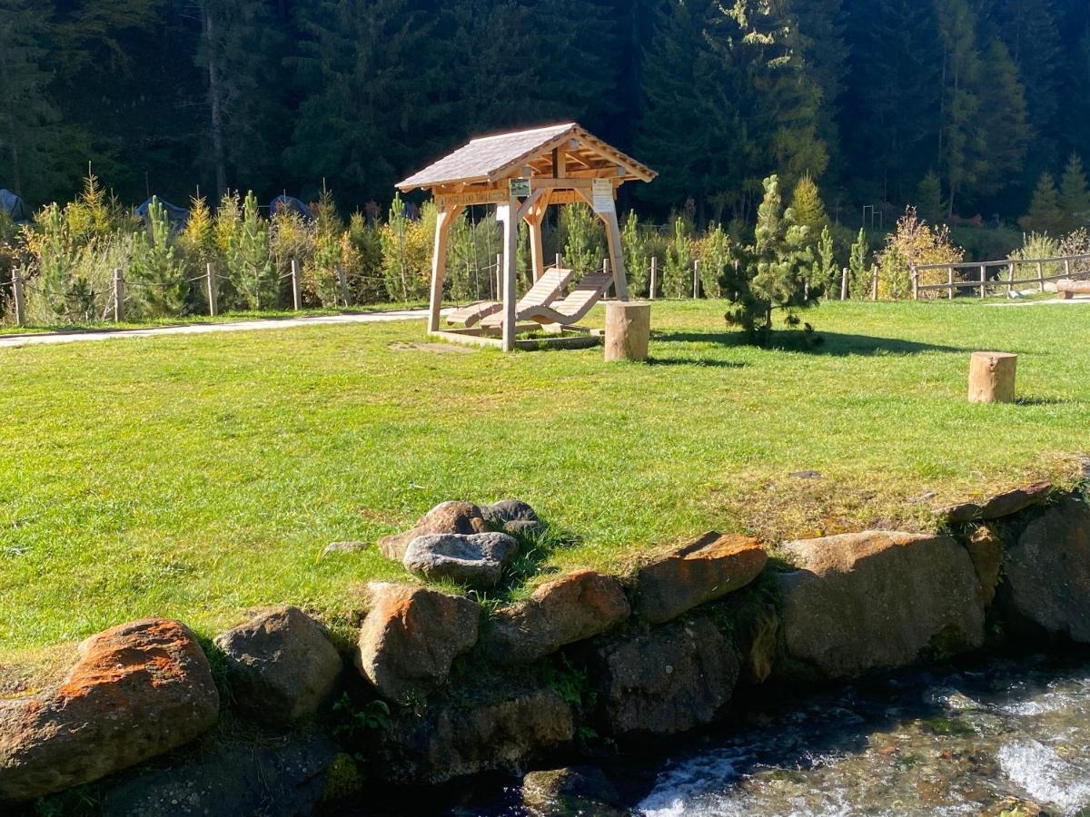 Finestra Sull'Adamello Appartement Tonalepas Buitenkant foto